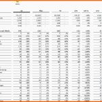 Größte Bwa E Merce Excel Vorlage Excel Vorlagen Shop