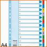 Größte Esselte Mylar A4 1 12 Karton Register Böttcher Ag