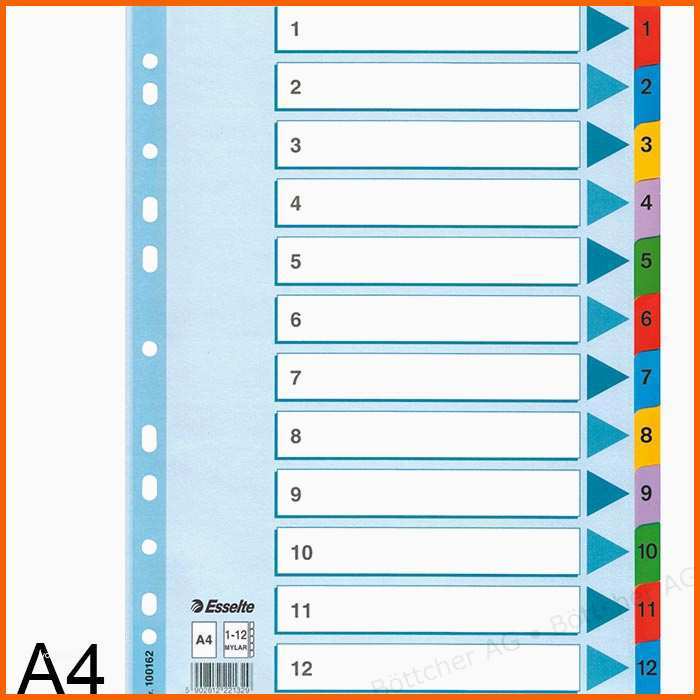 Größte Esselte Mylar A4 1 12 Karton Register Böttcher Ag
