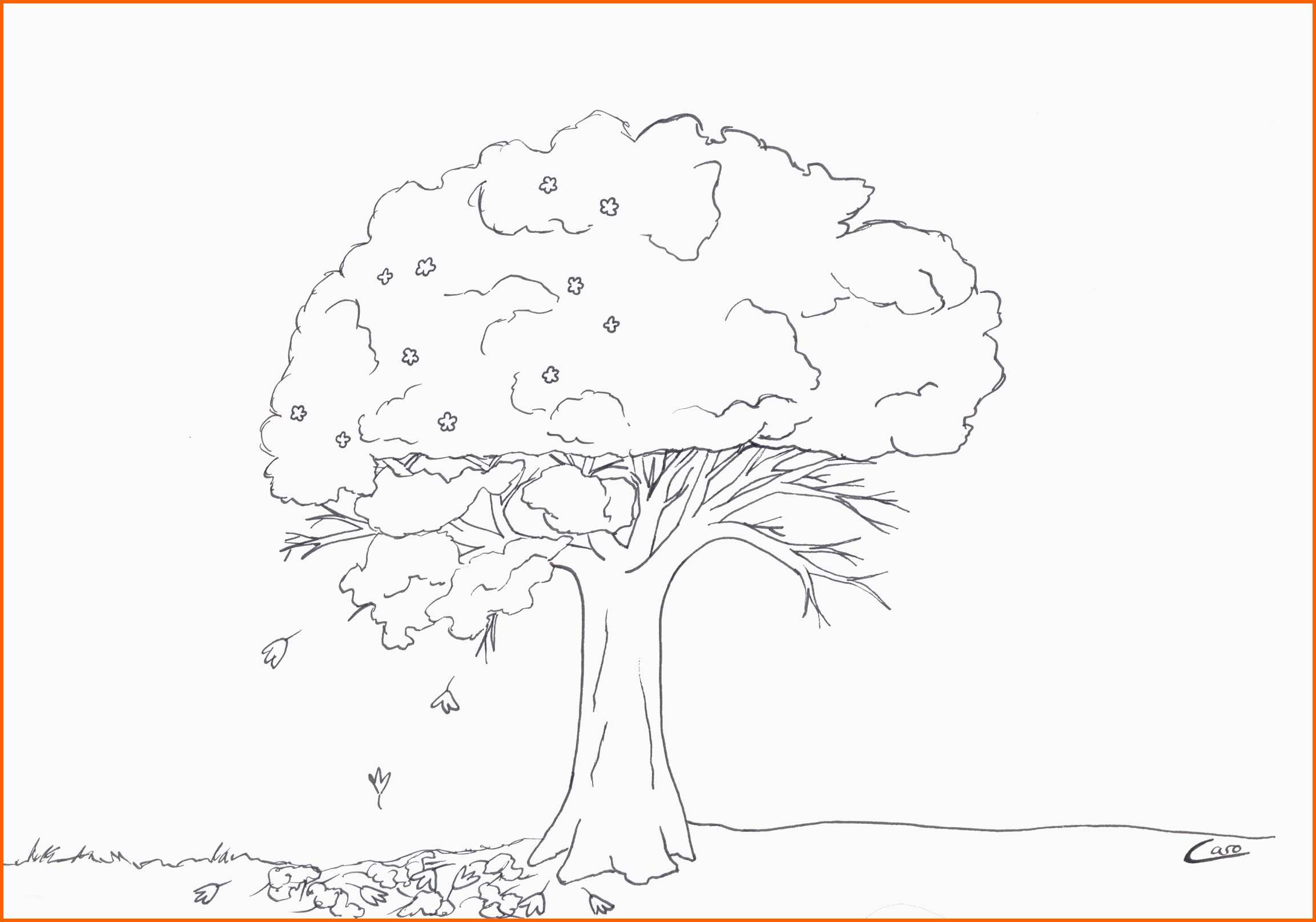 Größte Herbst Baum Ausmalbild Rangelandnews
