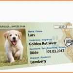 Größte Hundeausweis ♥ Der Süße Ausweis Für Deinen Hund
