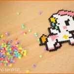 Größte Kamerakind Berichtet Januar 2015