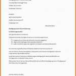 Größte Kündigung Haftpflichtversicherung Vorlage – Vorlagens Download