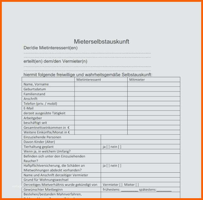 Größte Selbstauskunft Mieter Vorlage