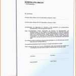 Größte Testament Kostenlos Ausdrucken Kinderbilder Download