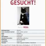 Größte Vermisstenanzeige Katze Vorlage Hbsch Hilfe Unser Bsi ist