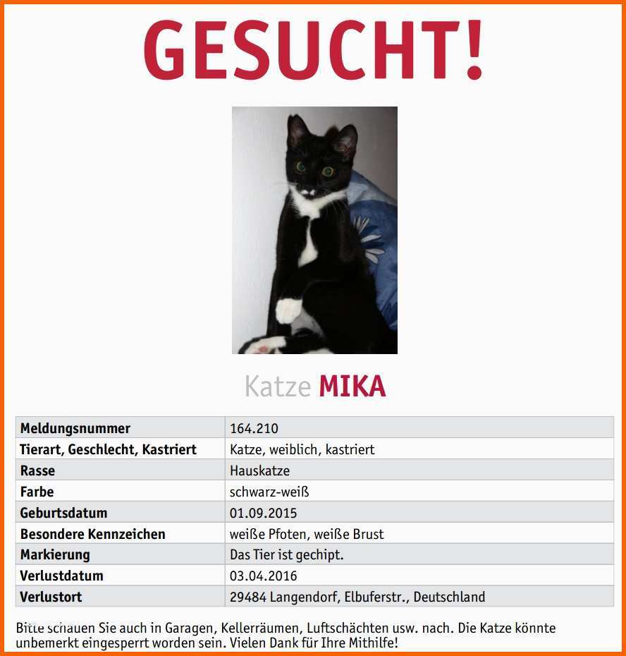 Größte Vermisstenanzeige Katze Vorlage Hbsch Hilfe Unser Bsi ist