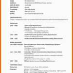Hervorragen 12 Lebenslauf Englisch Muster