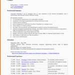 Hervorragen 20 Lebenslauf Openoffice Vorlage
