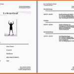 Hervorragen Biografie Vorlage Beispiel Erstaunliche Kostenlose
