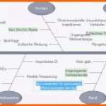 Hervorragen ishikawa Diagramm Beispiel Besten Der ishikawa Diagramm