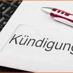Hervorragen Kündigung Mietvertrag
