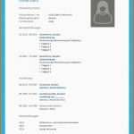 Hervorragen Lebenslauf Vorlage Openoffice Kostenlos Download