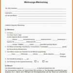 Hervorragen Mietvertrag Muster Download