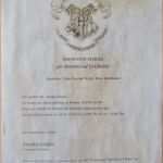 Hervorragen Party Planung – Harry Potter – Hogwarts Brief – Harry