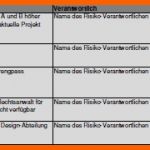 Hervorragen Projektmanagement24 Blog Risikomanagement