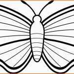 Hervorragen Schmetterling Vorlage Zum Ausdrucken Luxus Ausmalbilder