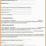 Hervorragen Sepa Lastschriftmandat Vorlage Sparkasse – Vorlagens Download