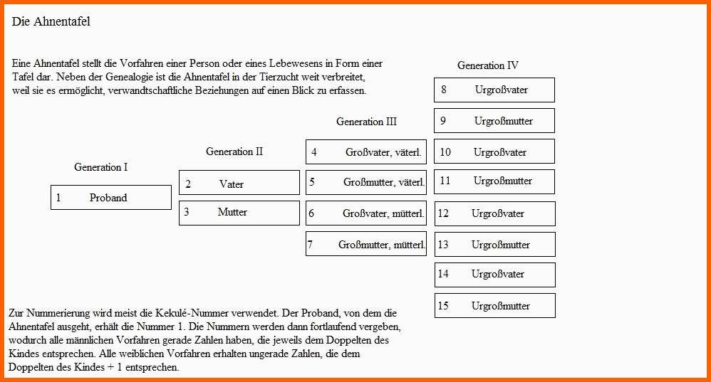 Hervorragen Stammbaumvorlage Ahnentafel Ahnenforschung Genealogie