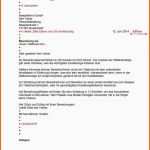 Hervorragend 14 Bewerbung Einzelhandelskaufmann Vorlage