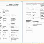 Hervorragend Chronologischer Lebenslauf Questionnaire Templated