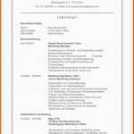 Hervorragend Cv Vorlage
