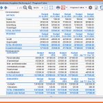 Hervorragend Einnahmen Ausgaben Rechnung Gemeinnütziger Verein Excel