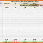 Hervorragend Ernährungstagebuch Vorlage Excel Bewundernswert