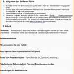 Hervorragend Informationsblatt Zur Anfertigung Der Praktikumsmappe Pdf