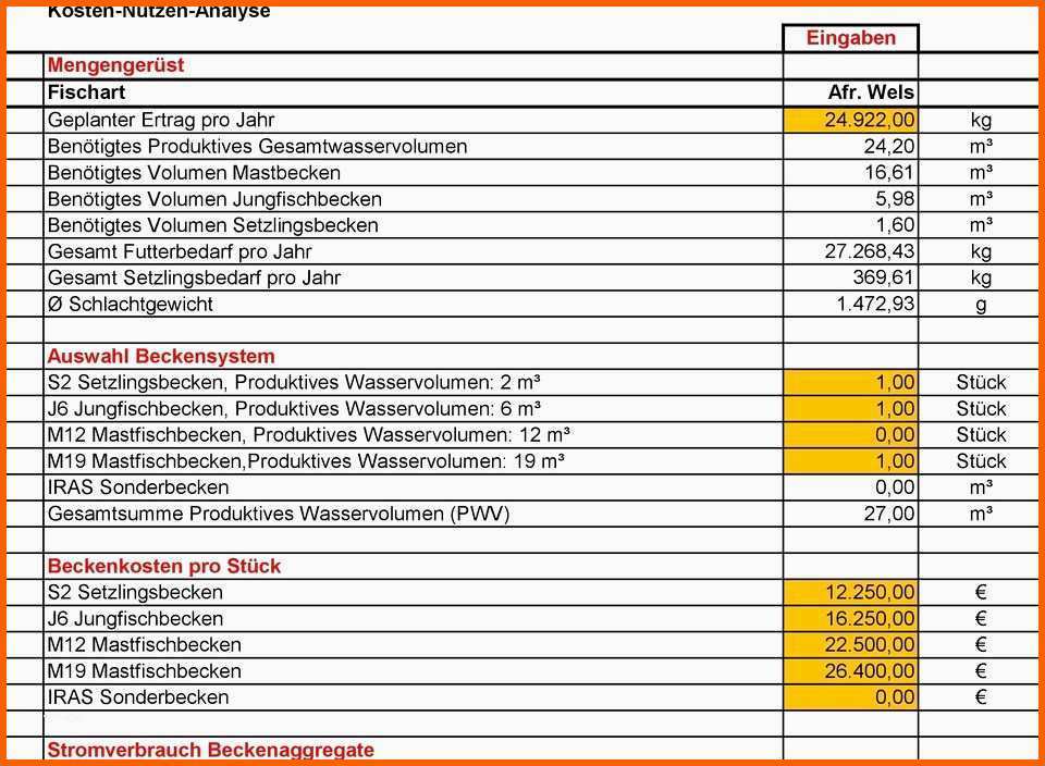 Hervorragend Kosten Nutzen Analyse Vorlage Papacfo
