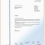 Hervorragend Muster Für Arbeitnehmer Fristlose Kündigung Zum Download