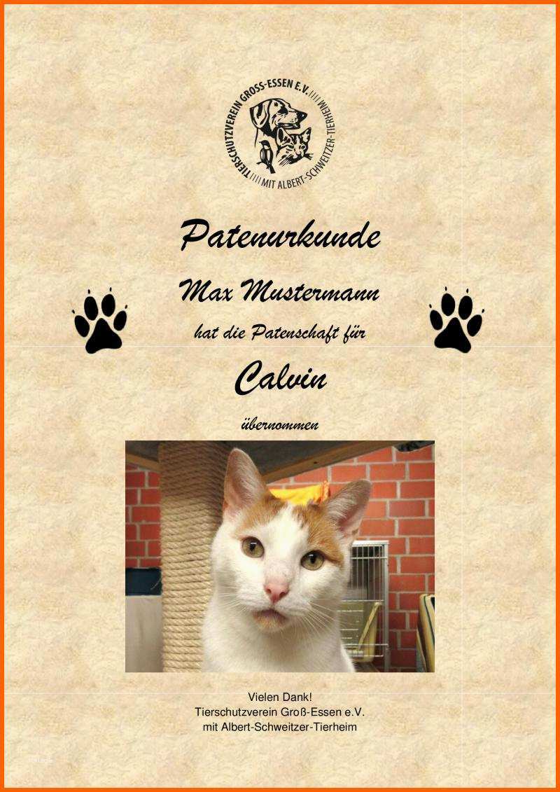 Hervorragend Patenschaft