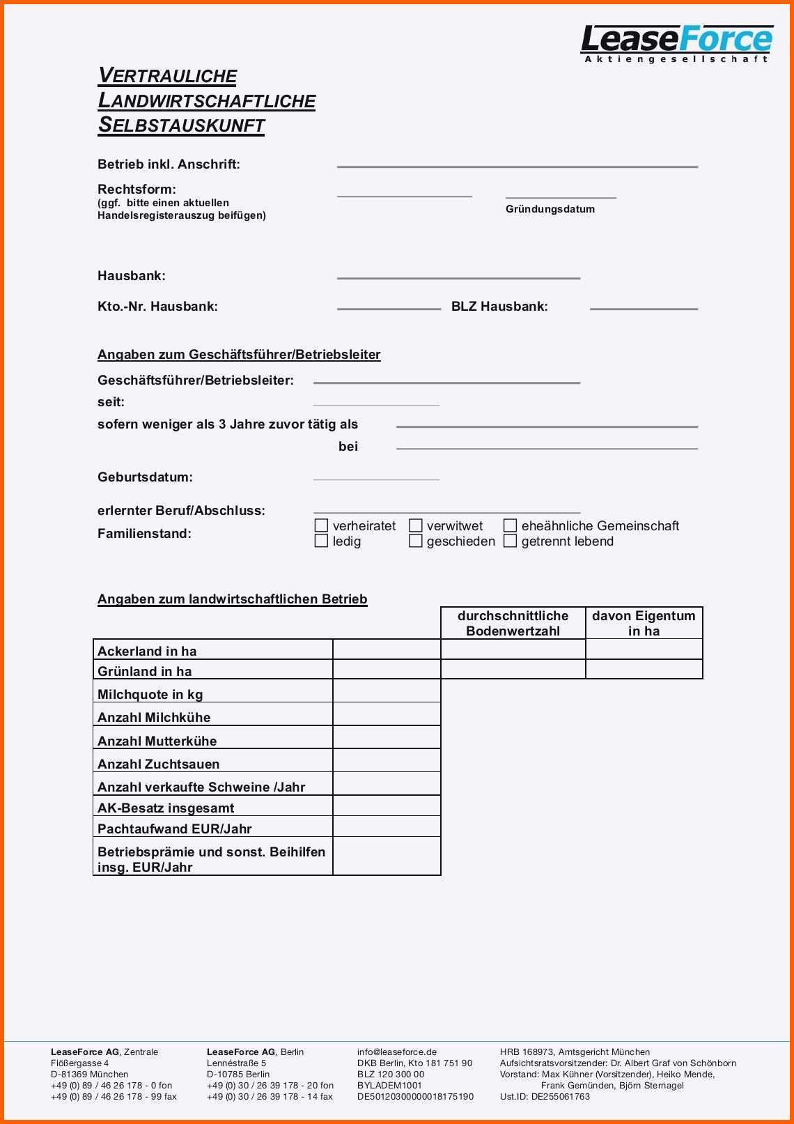 selbstauskunft vorlage bank