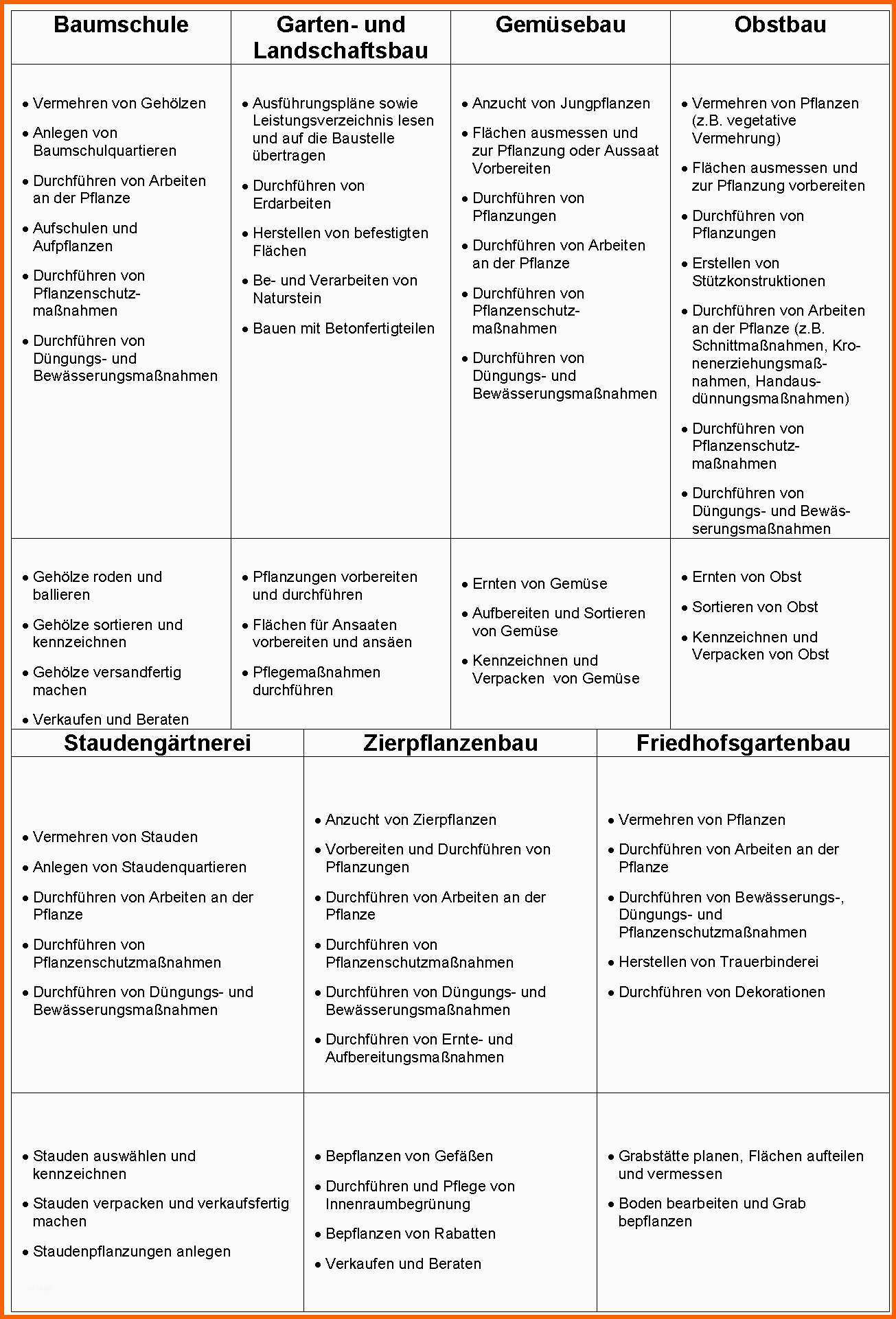 Hervorragend Tagesbericht Praktikum Vorlage Tagesbericht Praktikum