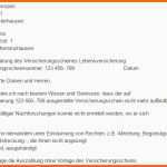 Hervorragend Verlusterklärung Des Versicherungsschein Vorlage