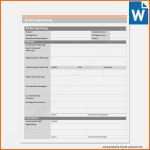 Ideal 13 Projektplan Vorlage Word