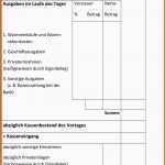 Ideal 13 Zählprotokoll Kasse Vorlage