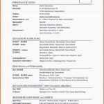 Ideal 20 Lebenslauf Ausbildung Vorlage Word