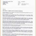 Ideal 20 Lebenslauf Vorlage Openoffice