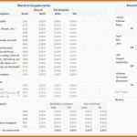 Ideal 63 Probe formlose Gewinnermittlung Kleinunternehmer Excel