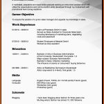 Ideal Amerikanischer Lebenslauf Deutsche form Oder Resume