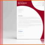 Ideal Bewerbung Auf Englisch Mit Cover Letter Und Cv Zum Download