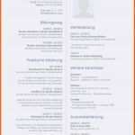 Ideal Biographie Schreiben Muster