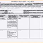 Ideal Business Case Vorlage