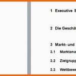 Ideal Businessplan Word Vorlage
