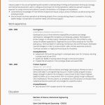 Ideal Cv Schreiben