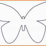 Ideal Die 25 Besten Schmetterling Vorlage Ideen Auf Pinterest