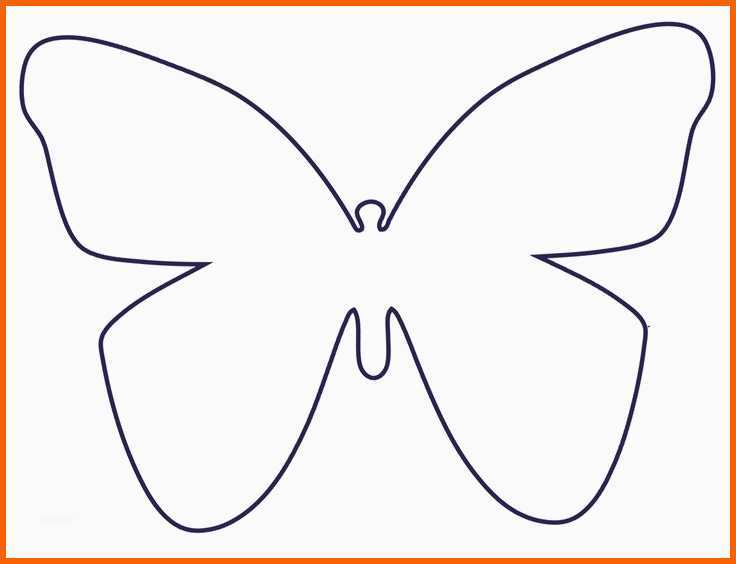 schmetterling vorlage