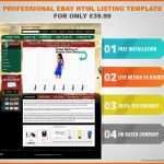 Ideal Ebay Seller Template HTML Ebay Listing Template Best Ebay