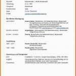 Ideal Kenntnisse Englisch Lebenslauf Neu Cv Schreiben Muster